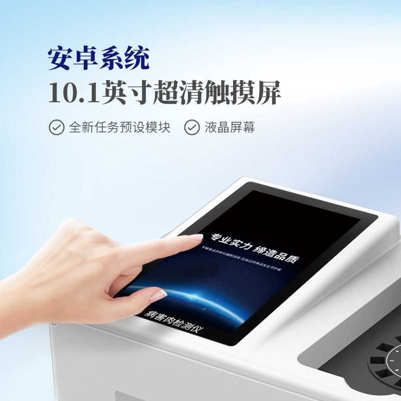 Summer beach concept