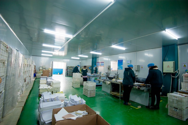 Summer beach concept