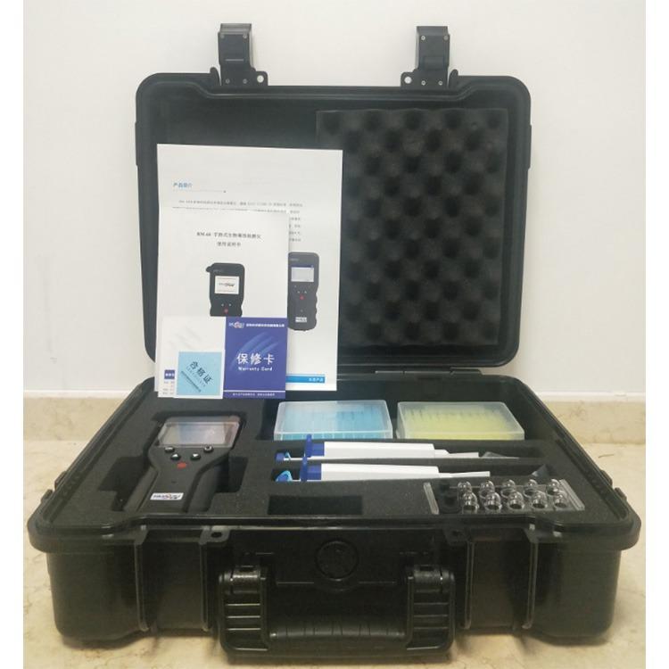 Summer beach concept