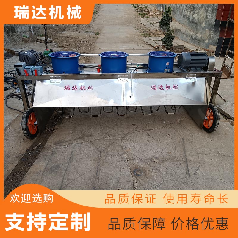 Summer beach concept