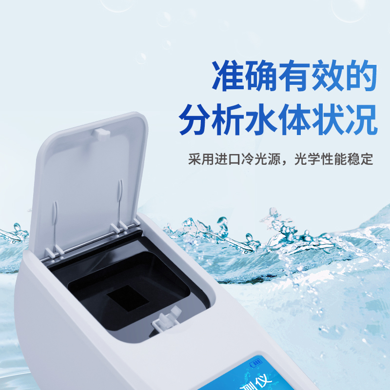 Summer beach concept