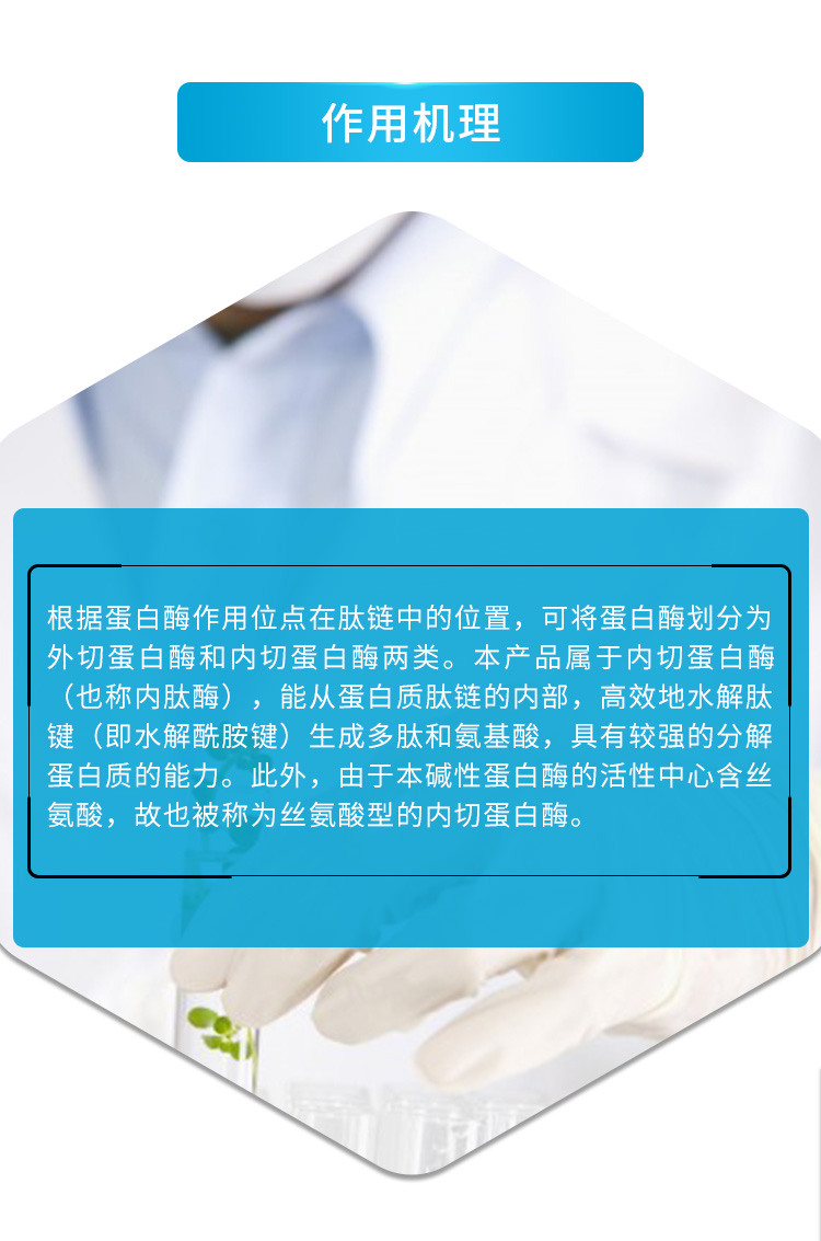 碱性蛋白酶（工业级单酶-GDG-2002_03