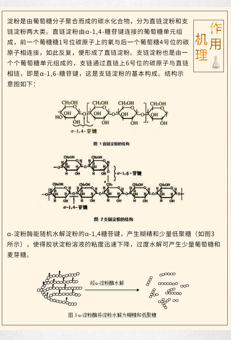 食品级α-淀粉酶（中温-AAS型）详情_05
