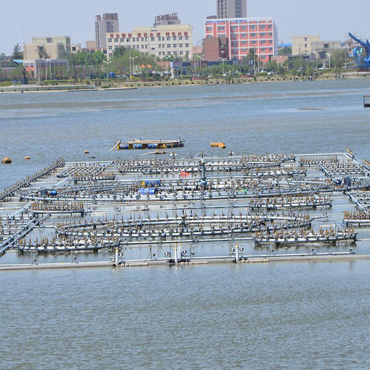 Summer beach concept