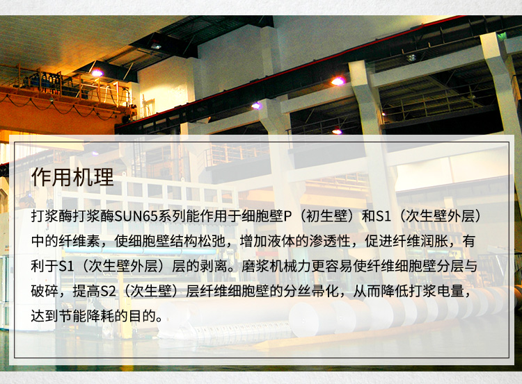 造纸详情_05