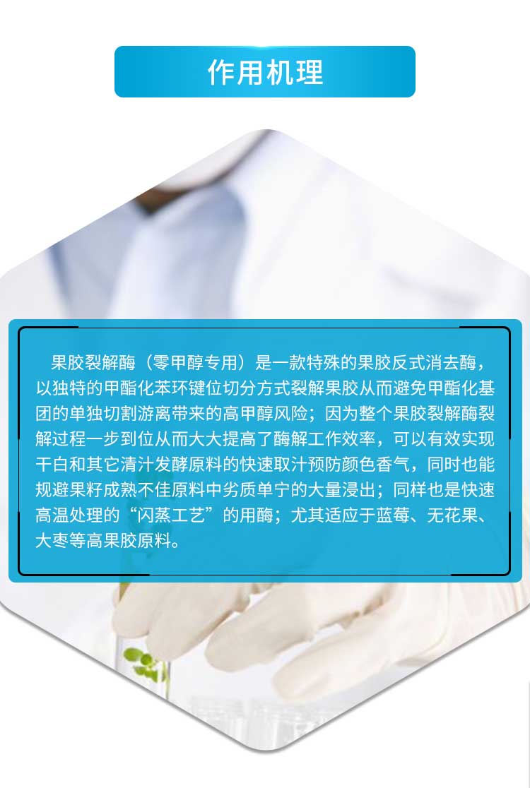 果胶裂解酶（零甲醇专用）_03