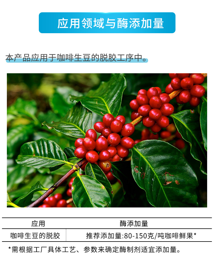 复配植物提取酶制剂（咖啡生豆加工专用）_03