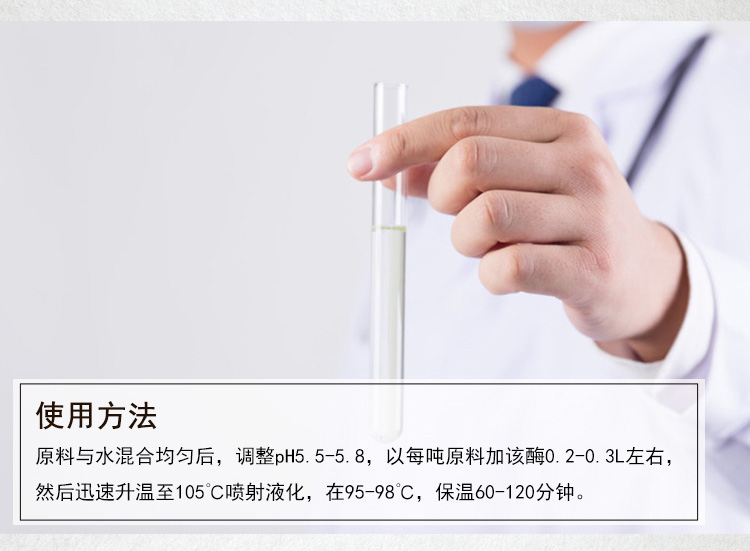 α-淀粉酶（氨基酸工业用酶）_04