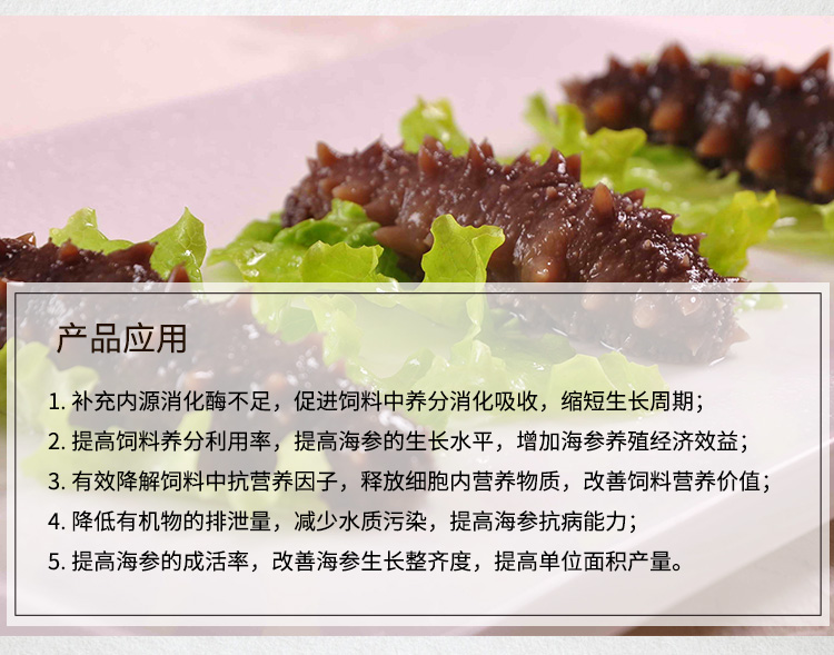美乐酵素详情（海参专用）_03