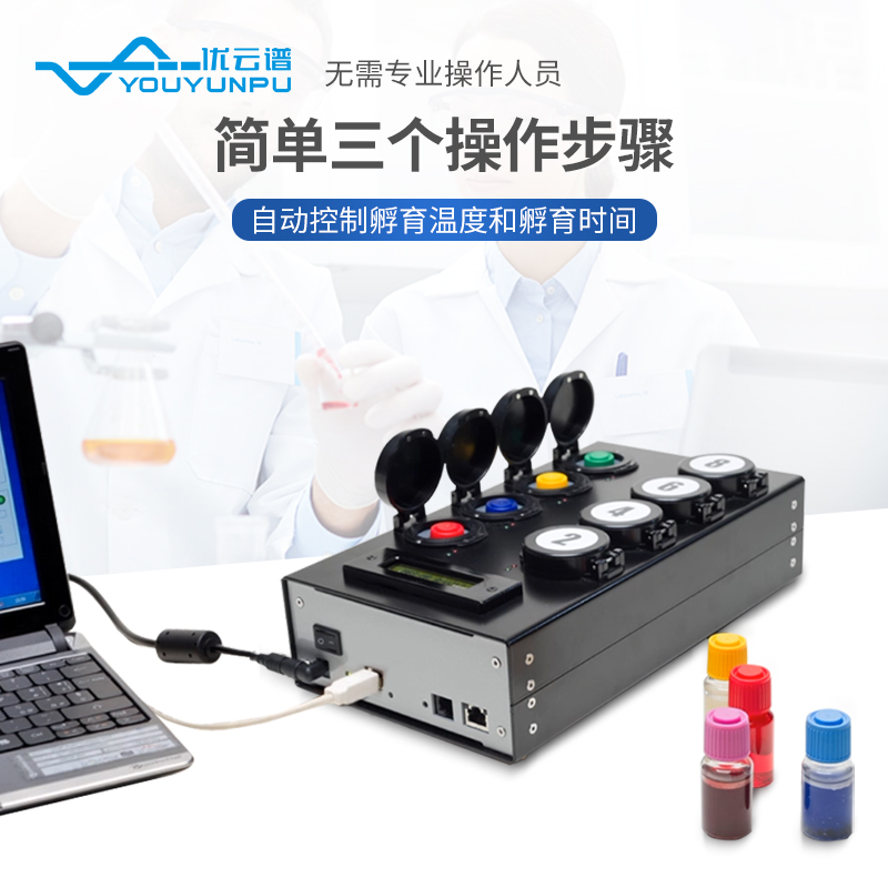 Summer beach concept