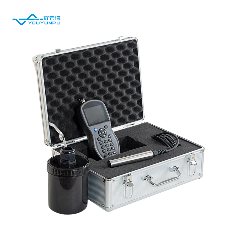 Summer beach concept