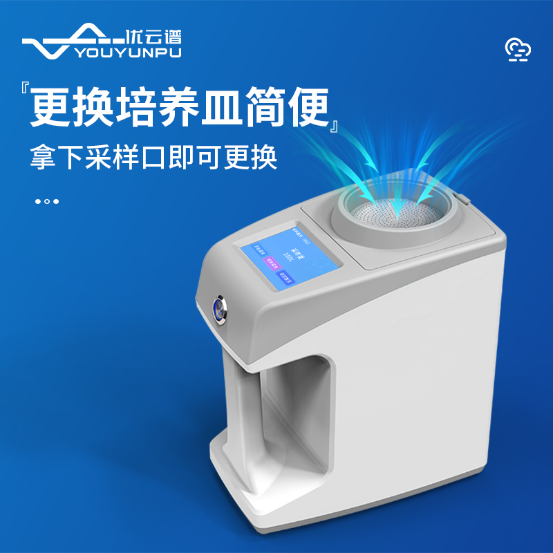 Summer beach concept