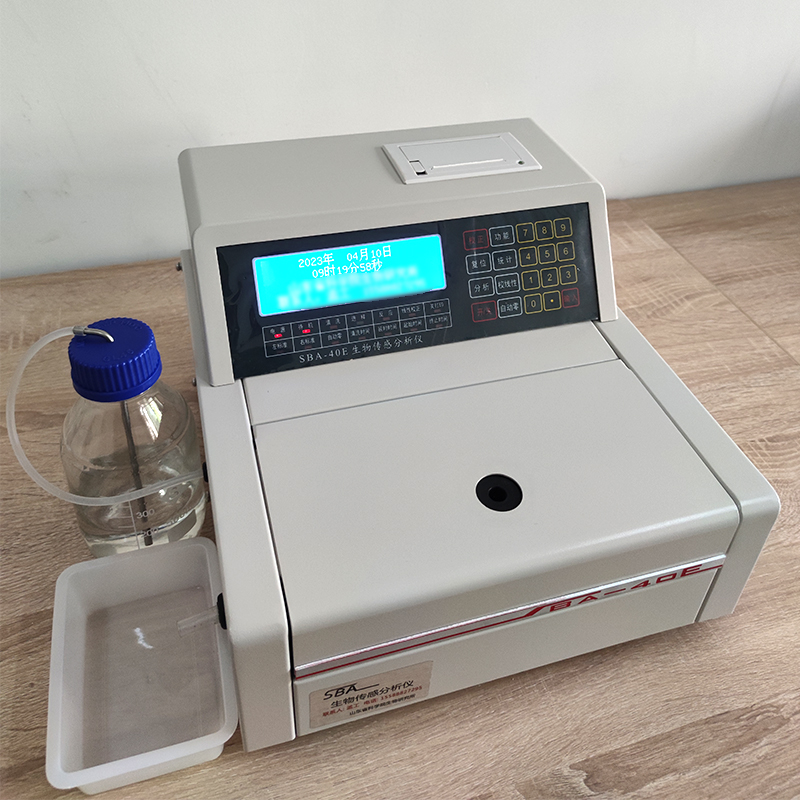 Summer beach concept