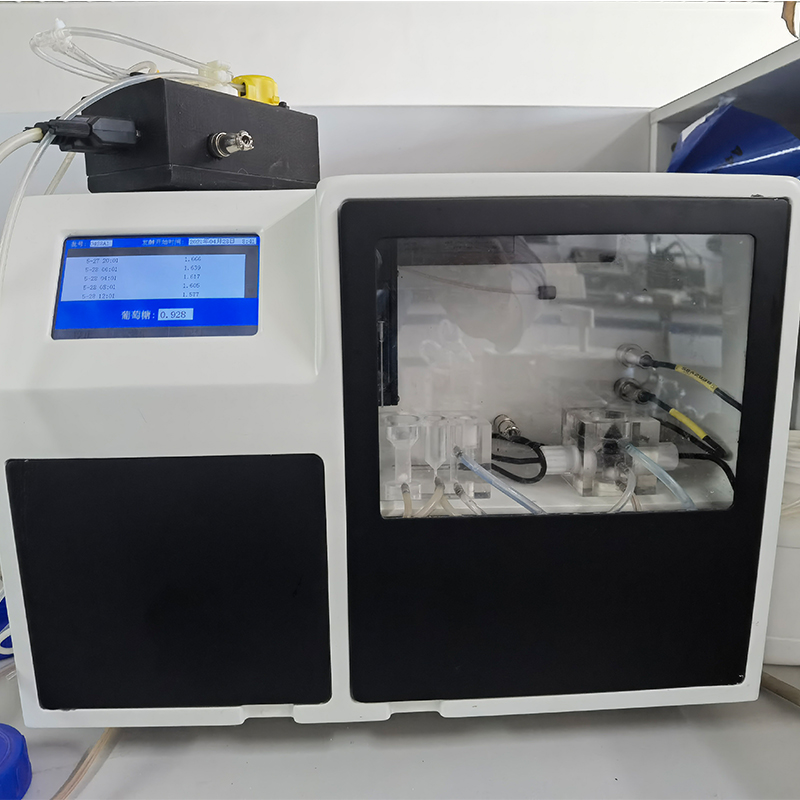 Summer beach concept