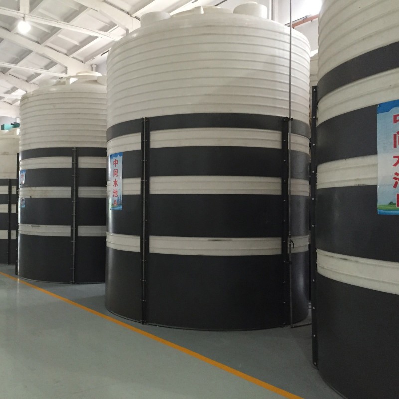 Summer beach concept