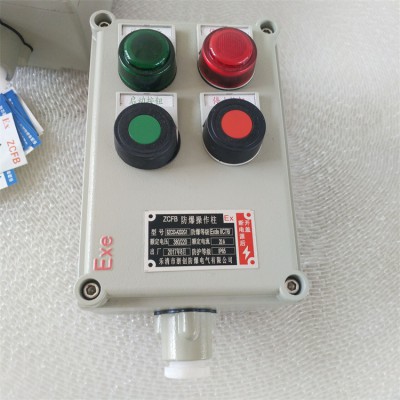 防爆控制箱操作柱BXK-A5D2K2G 挂式立式防水