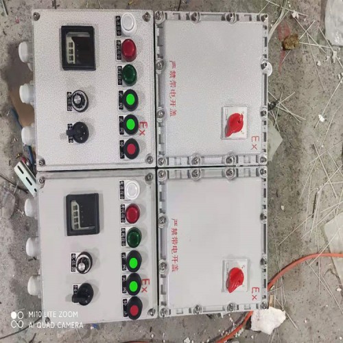 BXMD不锈钢钢板变频器控制柜防爆配电箱 照明动力控制箱定制