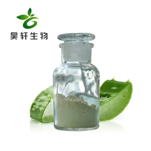 芦荟凝胶冻干粉