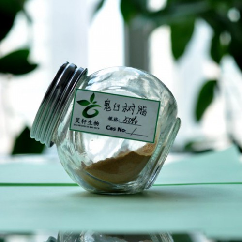 鬼臼树脂 八角莲提取物 BP标准