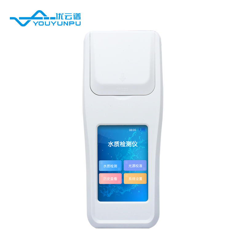 Summer beach concept