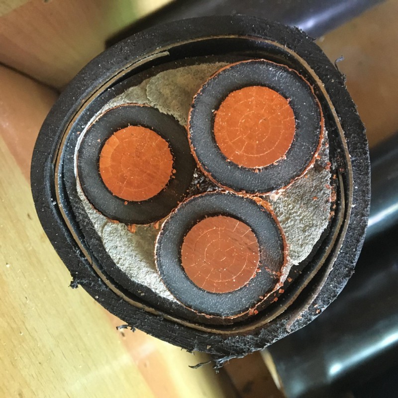 Summer beach concept