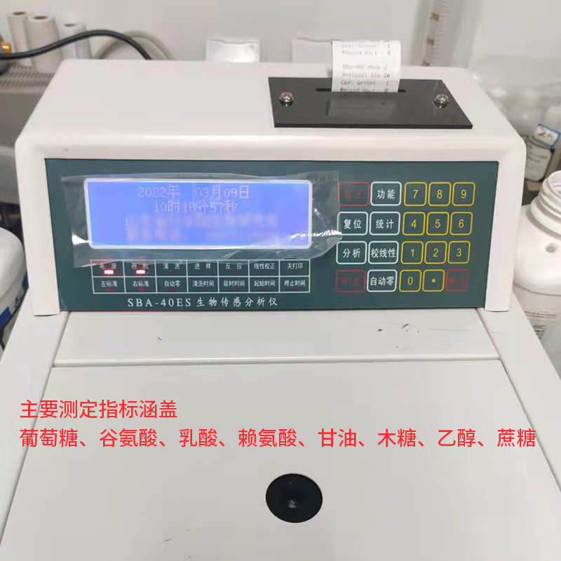 Summer beach concept