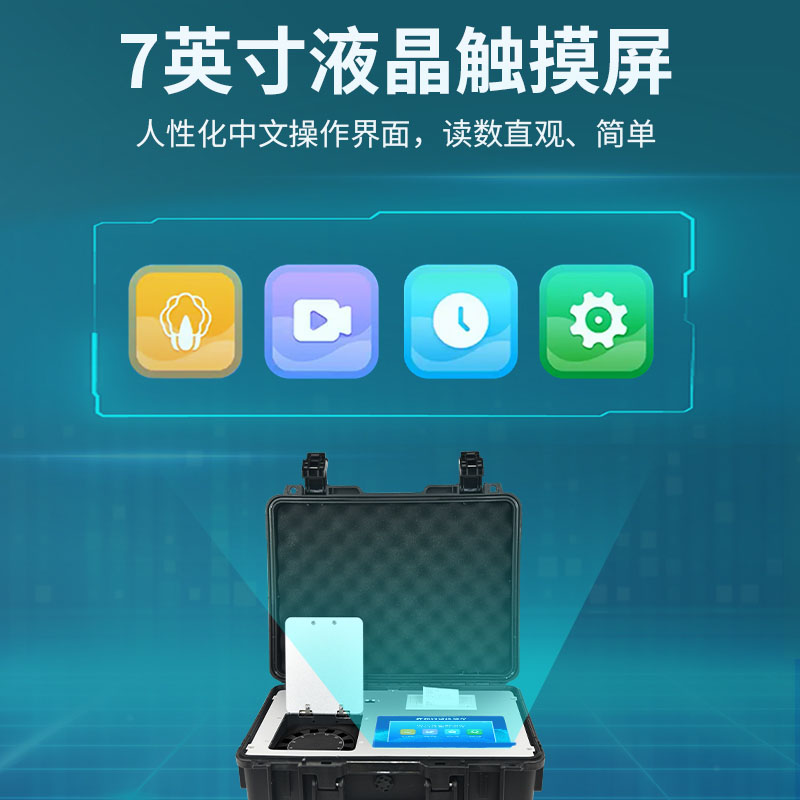 Summer beach concept