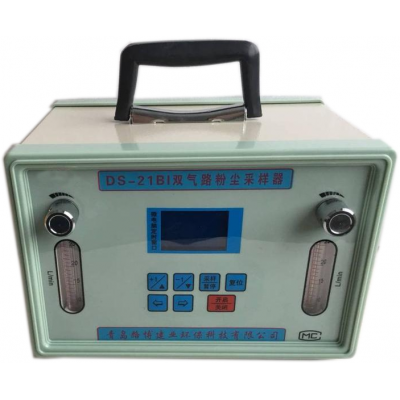 DS-21BI双路全粉尘采样器