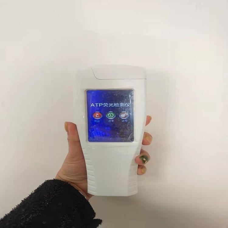 Summer beach concept