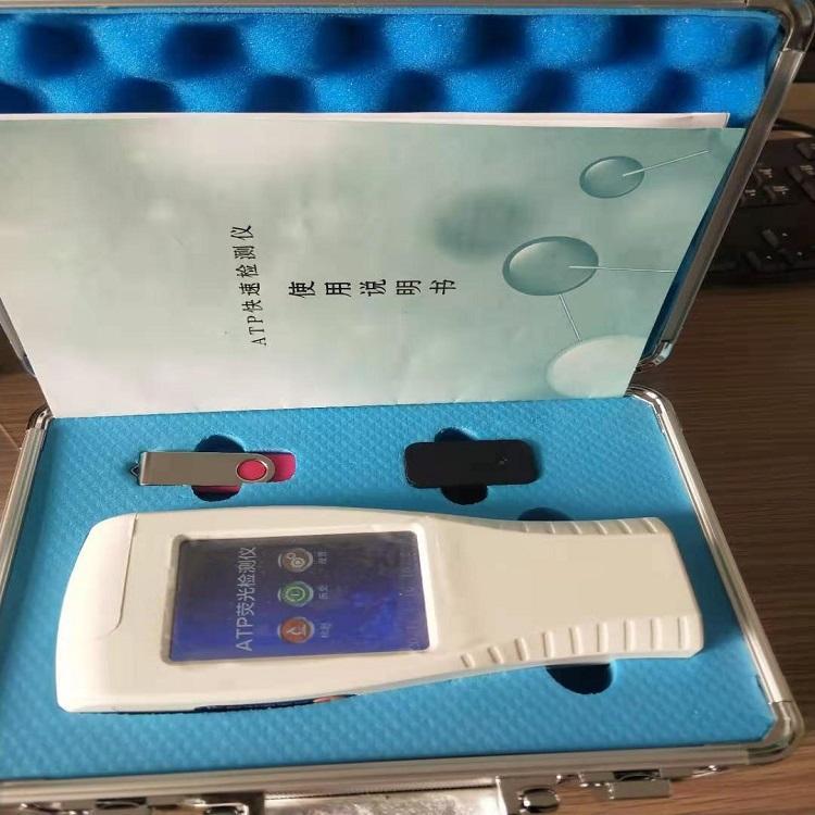 Summer beach concept