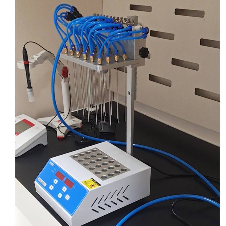 Summer beach concept