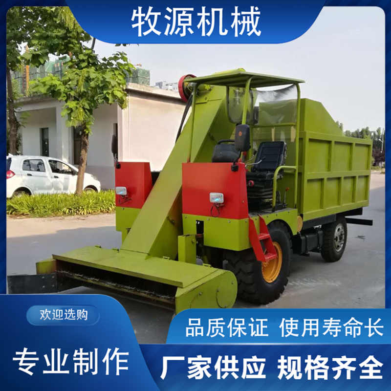 Summer beach concept