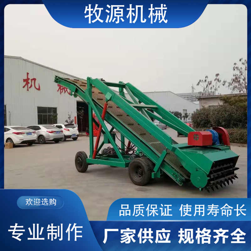 Summer beach concept