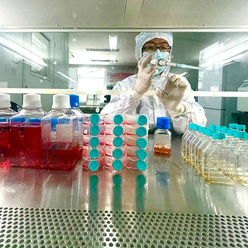 Summer beach concept