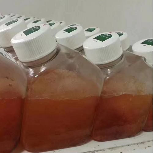 Summer beach concept