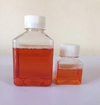 Summer beach concept