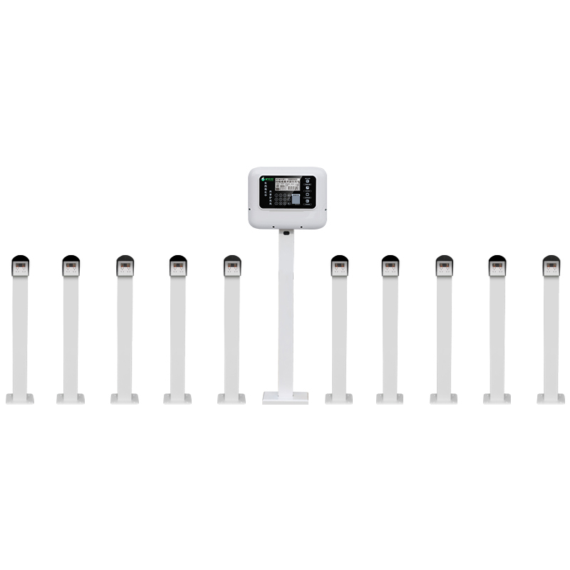 Summer beach concept