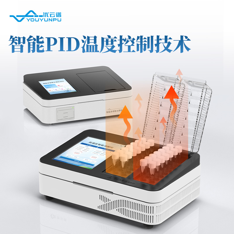 Summer beach concept