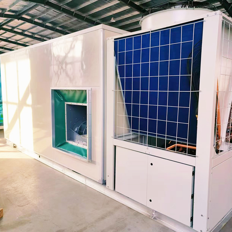 Summer beach concept