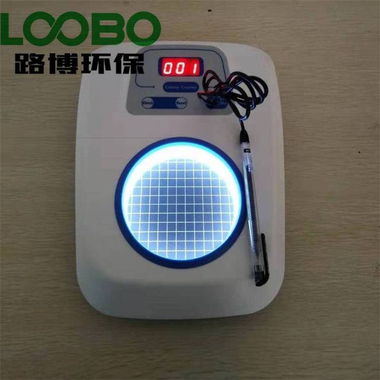 Summer beach concept