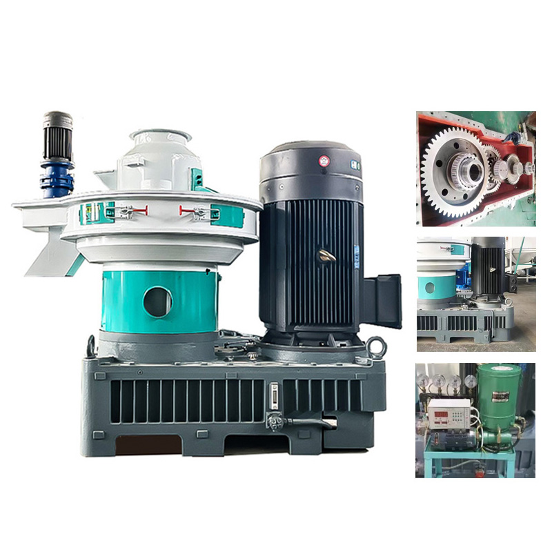 Summer beach concept