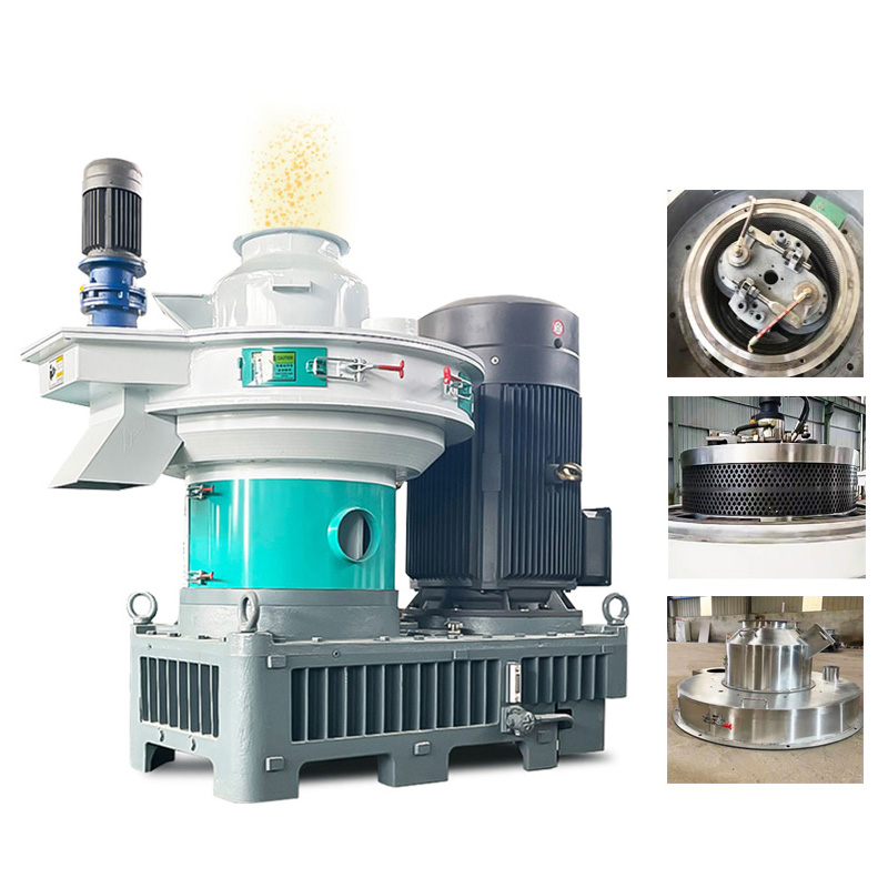 Summer beach concept