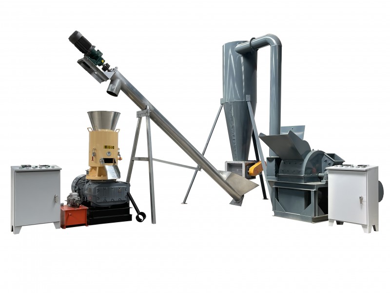 Summer beach concept