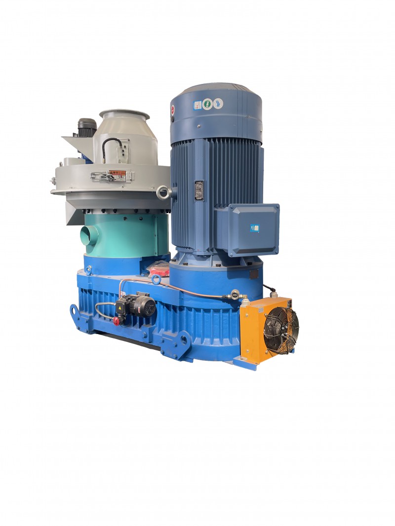 Summer beach concept