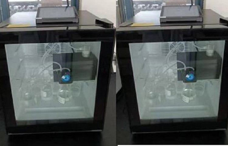 Summer beach concept