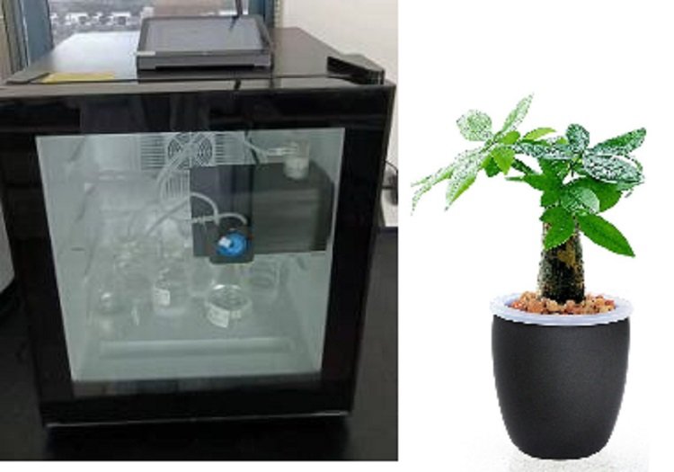 Summer beach concept