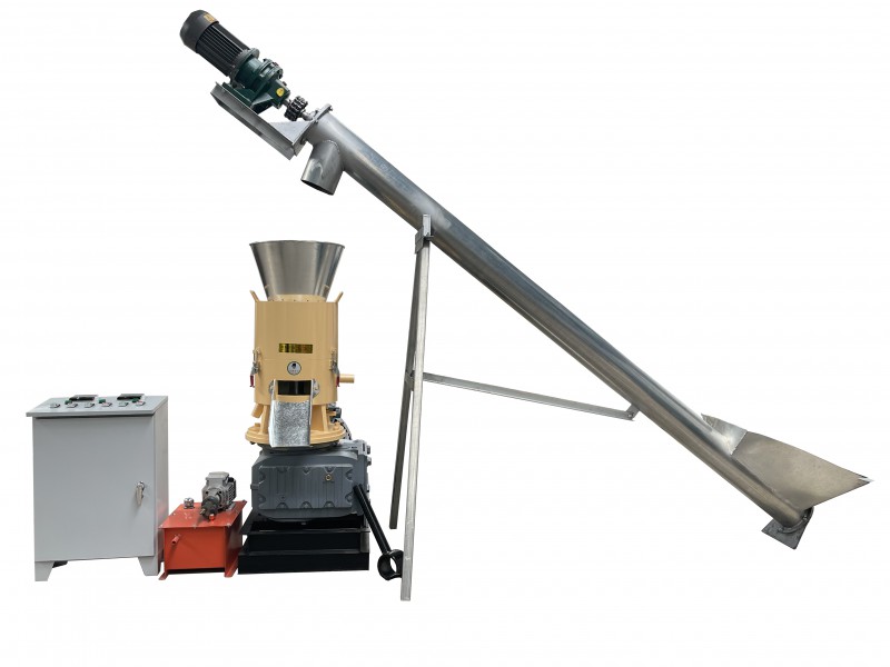 Summer beach concept