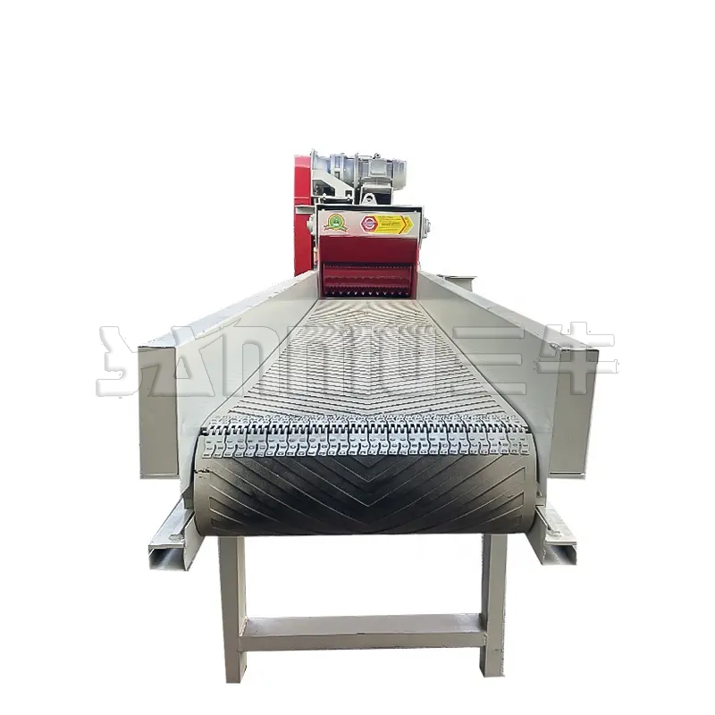 Summer beach concept