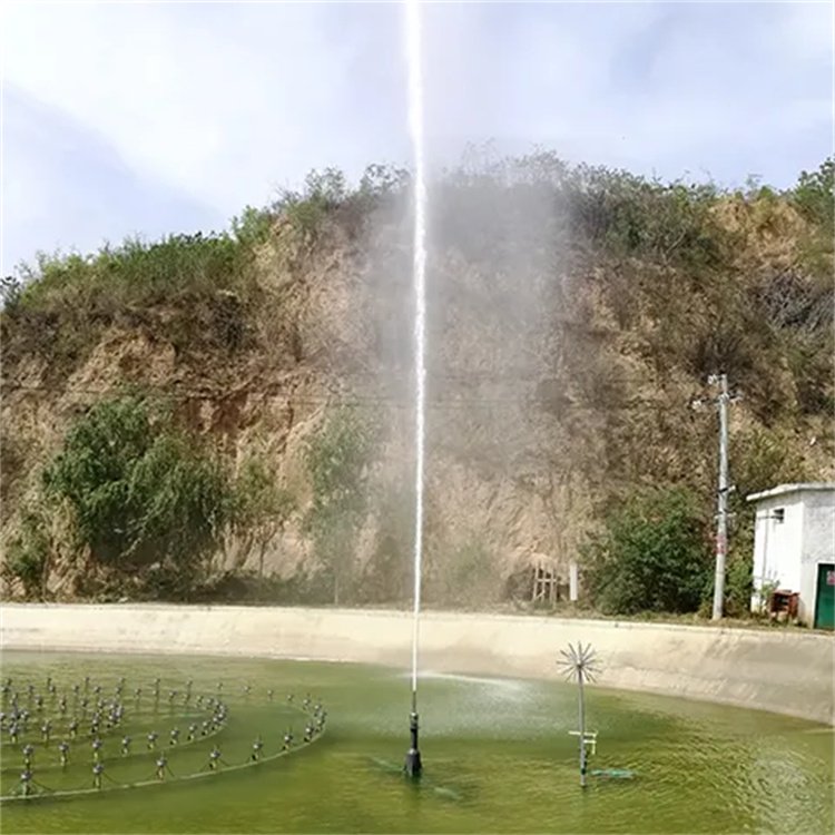 Summer beach concept