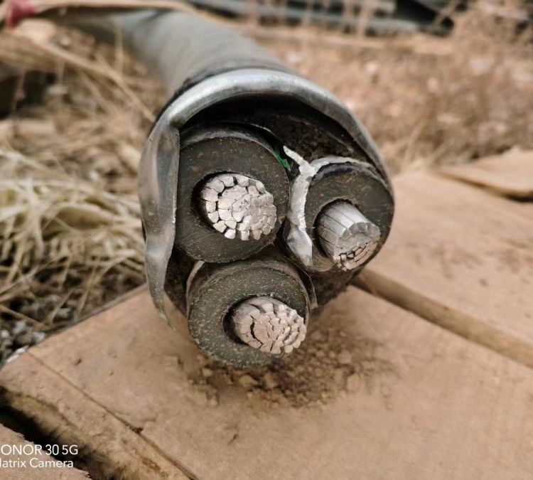 Summer beach concept